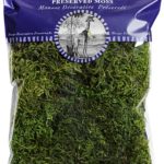 Preserved Forest Moss, Fresh Green (10 pounds) 1 Box musgo preservado de  bosque