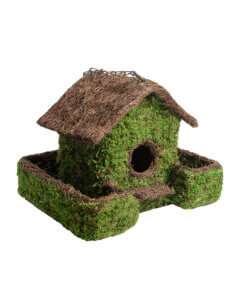 Plantable Maison Patio Birdhouse