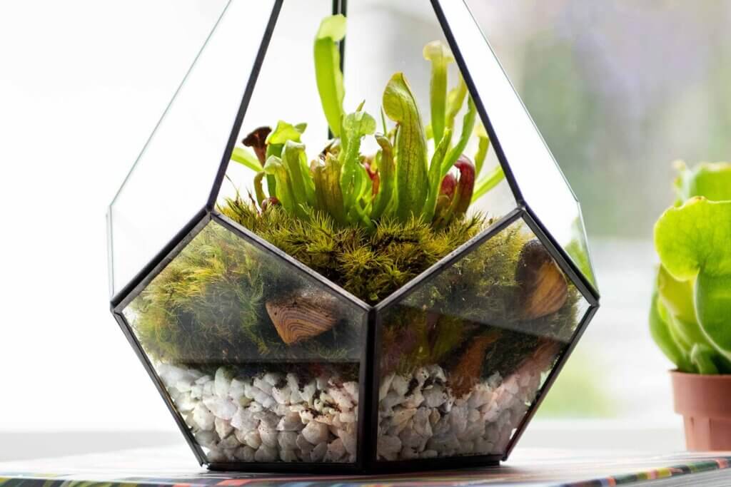 Decorative Gravel #5