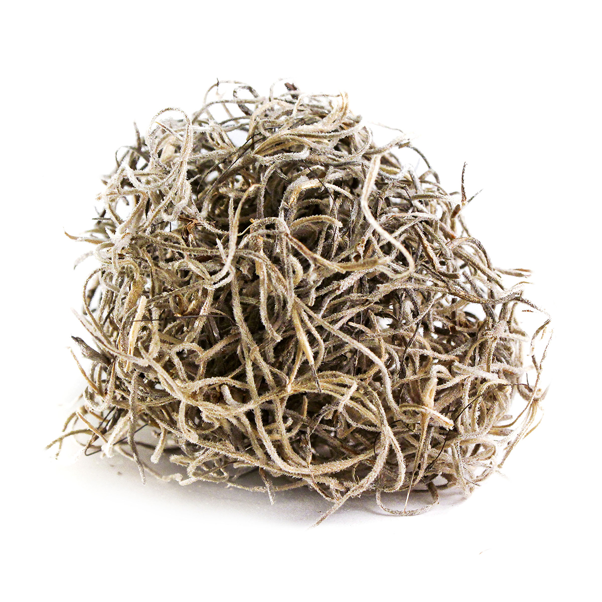 SuperMoss | Dried Spanish Moss