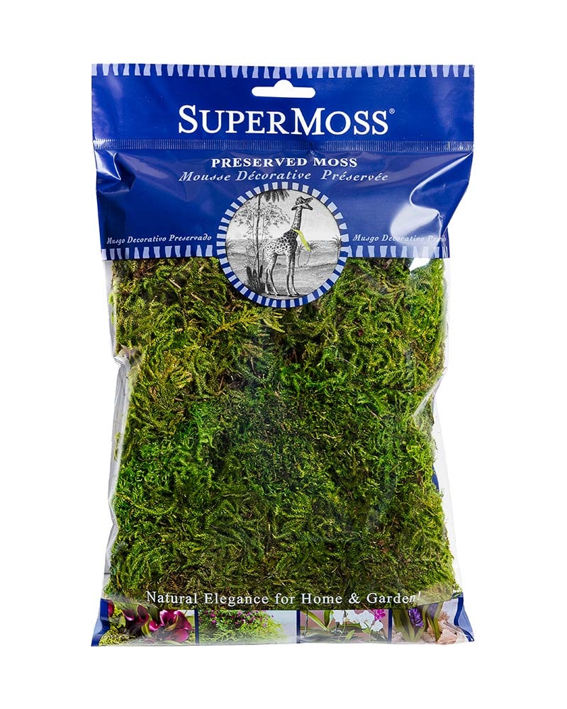 SuperMoss Fern Kits (Color: Fresh Green, Size: 14 x 14 in.)
