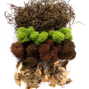 SuperMoss Moss Mix  BLICK Art Materials