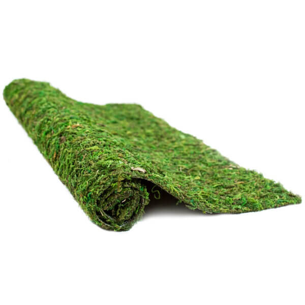 Instant Green® Moss Mat