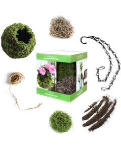 Original 6" Kokedama Kit