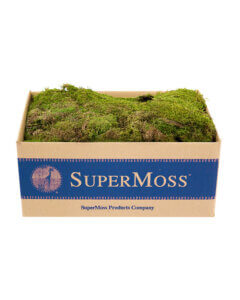 Sheet Moss Dried Natural Green Box