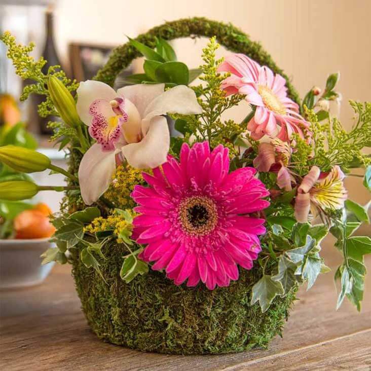 Arroyo Deco Moss Basket Set #1