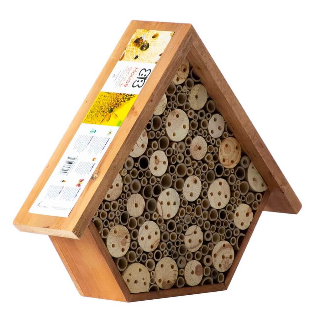 Beneficial Bug House, Aster, Walnut Stain #4