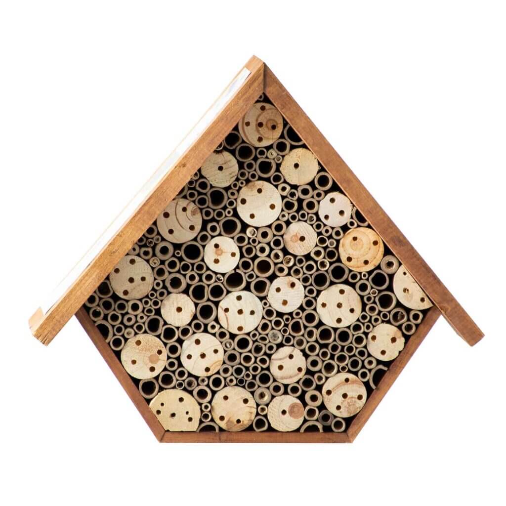 Beneficial Bug House, Aster, Walnut Stain #2