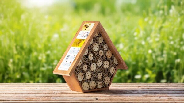 Beneficial Bug House, Aster, Walnut Stain