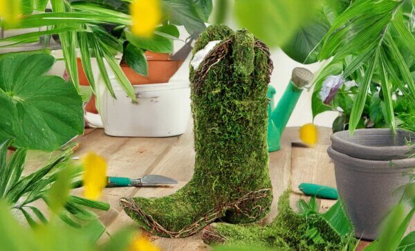 Austin Cowboy Boot Deco Moss Planter