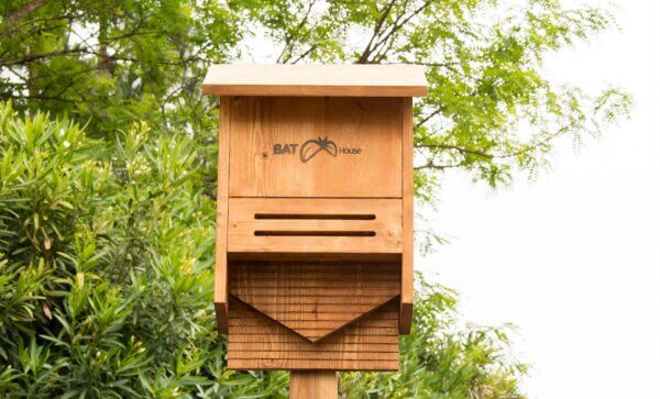 Beneficial Bat House, Walnut Stain