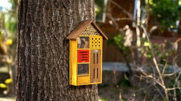Beneficial Bug House, Clover, Honey Stain