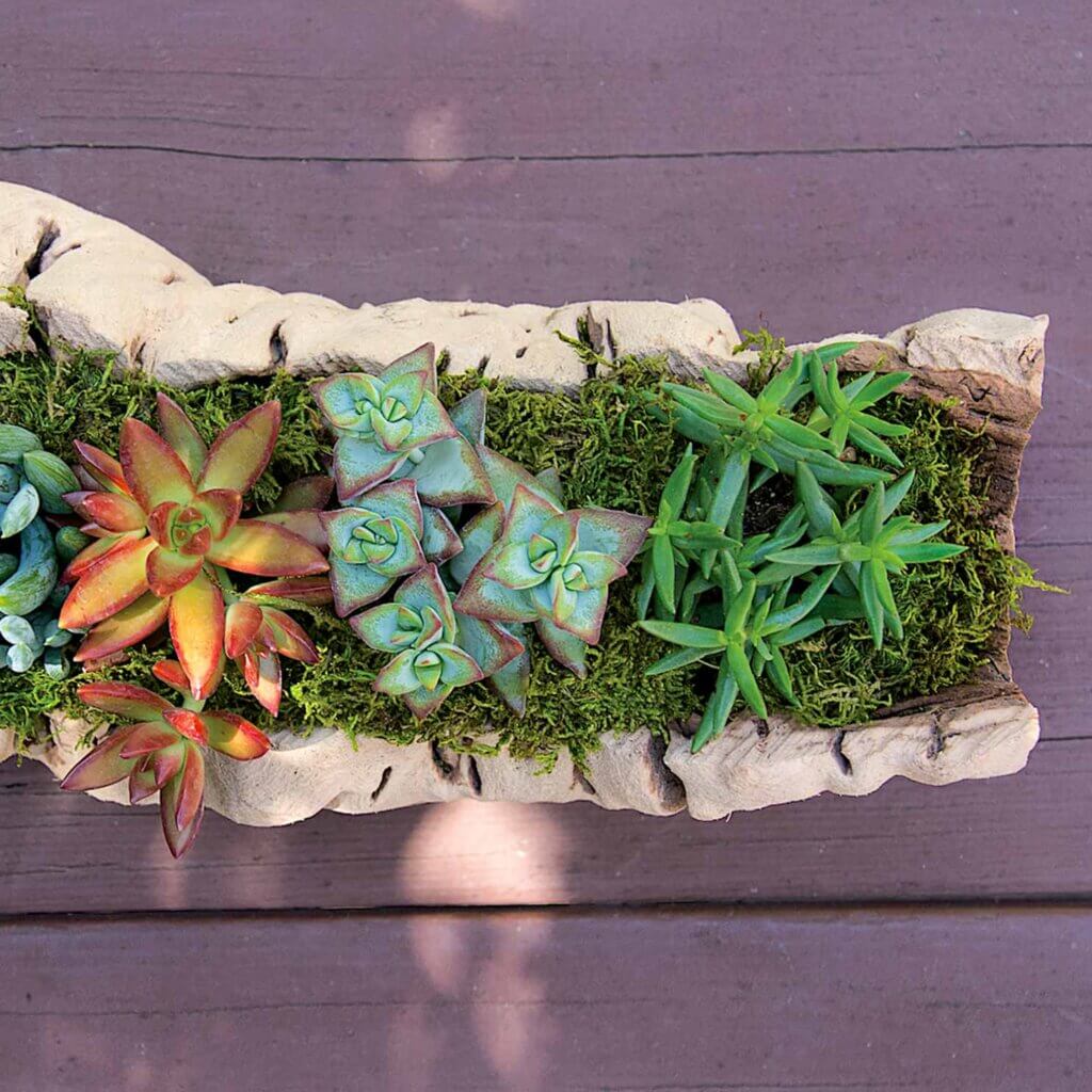 Grapevine Planter Medium 10-14" #4