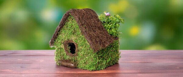 Plantable Maison Birdhouse