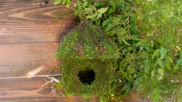 Shack Vine Roof Deco Birdhouse