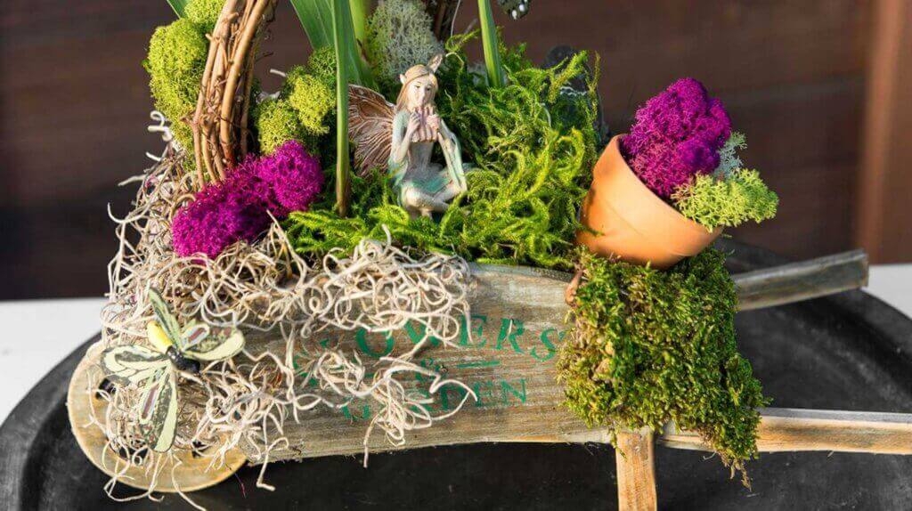 Best Sellers Moss Mix #1