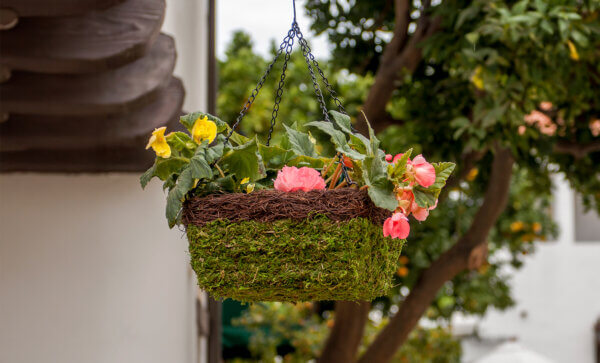 MossWeave Square Hanging Basket, Wicker Rim, Set of 3