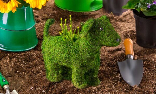 Doggy Creative Moss Planter