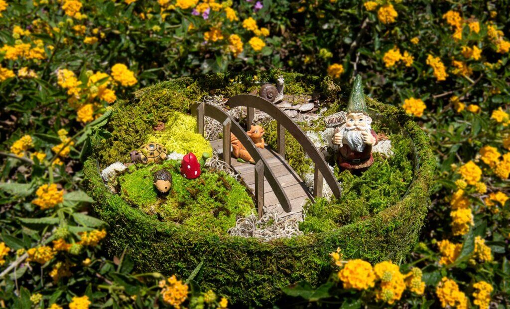 Round Propagation Tray #1