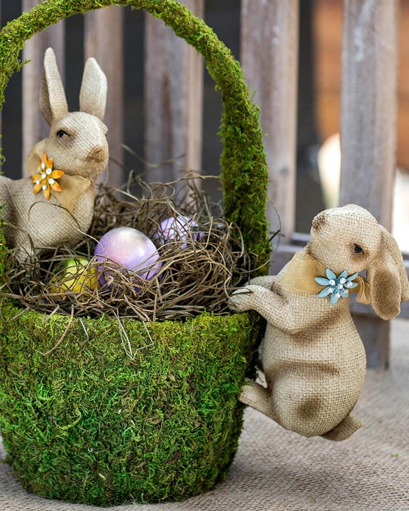 Aspen Wood Excelsior #5