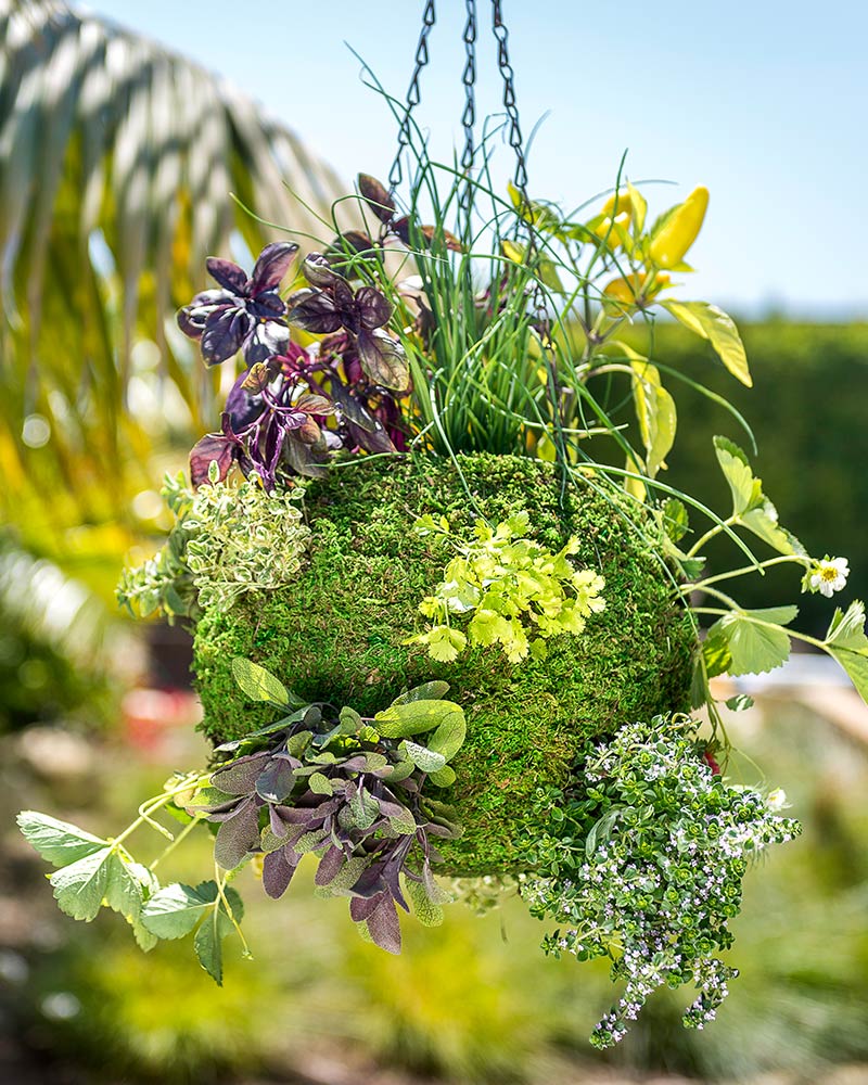 SuperMoss - MossWeave Hanging Ball Planter