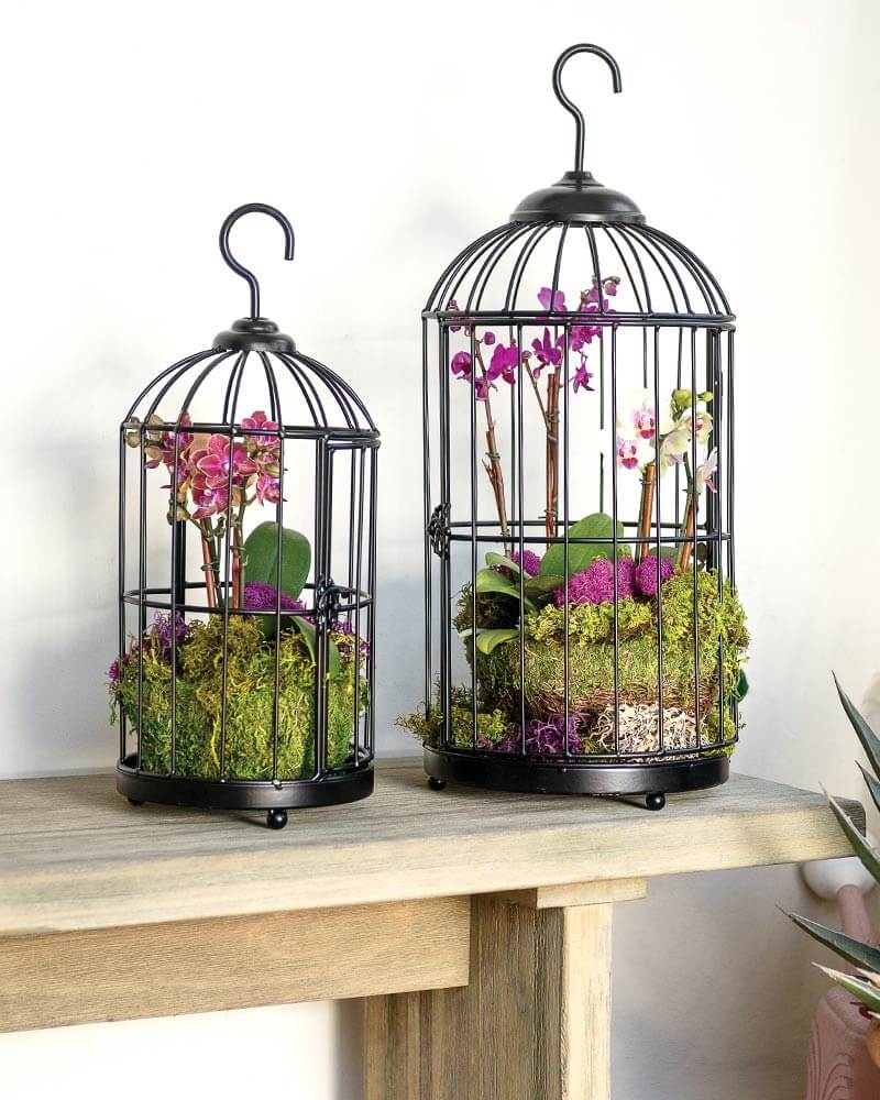 Bird Cage, Set of 2 #1