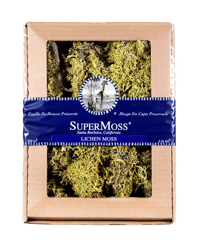 SuperMoss  Spanish Moss Preserved