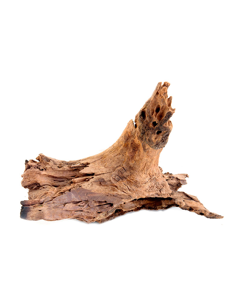 Vassoio Rotondo Piccolo Legno Blossom Driftwood Notre Monde