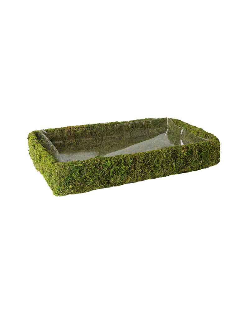 SuperMoss - Fairy Garden Basket Kit, Fresh Green, 10in