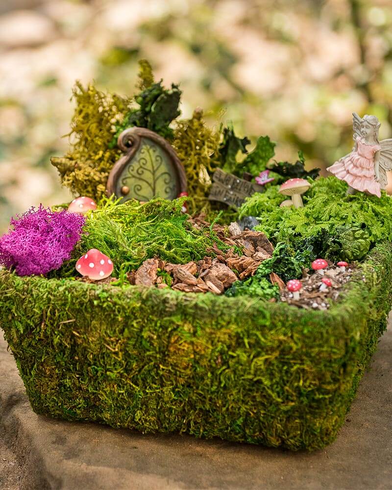 Fairy Garden Basket Kit, Fresh Green, 10in #1