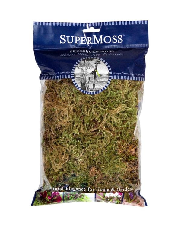 Forest Moss Dried