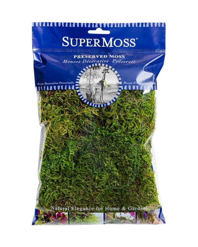 supermoss-forest-moss-preserved-green-moss