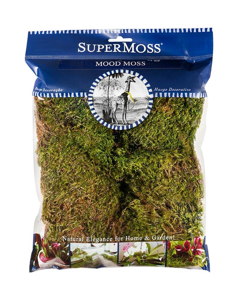 Mood Moss Dried #2