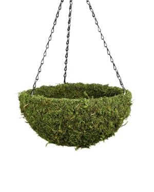 Super Moss Moss Pot Toppers 8 3/Pkg-Green - 759834263050
