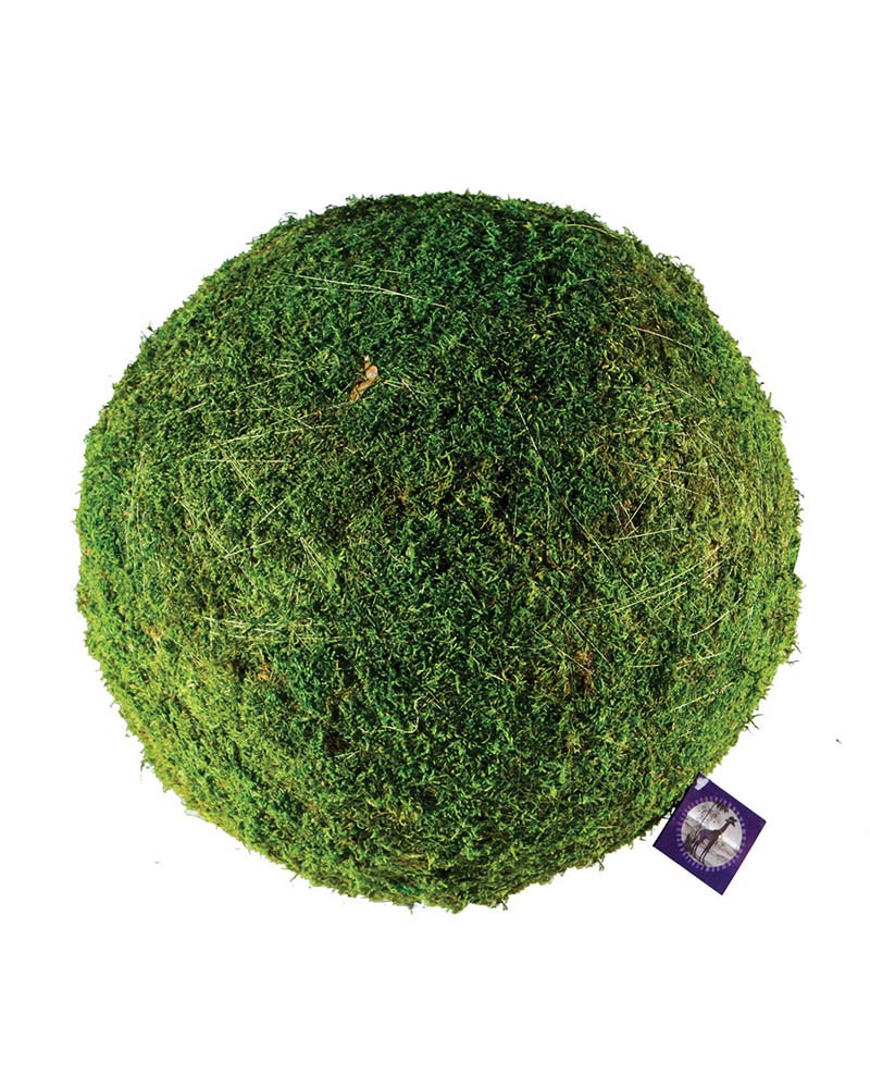 Large - XXL Pure Green Moss Balls Dried Organic Rattan Wedding Garden Home  Decor