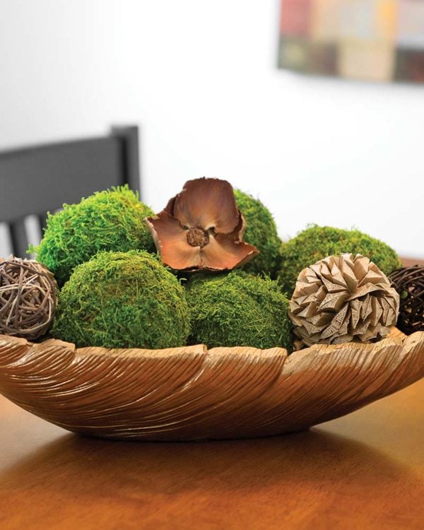 Sustainably Harvested Assorted Crafting Moss Balls & Lichens –  DyBeeApothecary