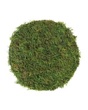SuperMoss (22160) Sheet Moss Mini (Shredded) Dried, Fresh Green, 3lbs