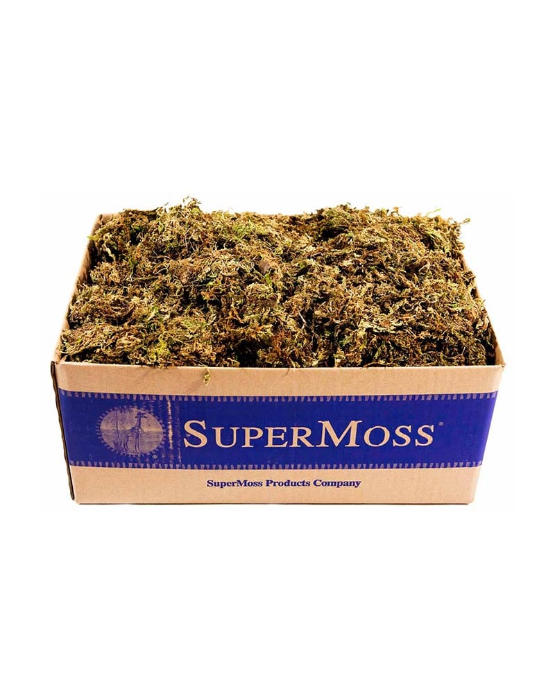 Buy Wholesale Dried Mountain Moss in Bulk - FiftyFlowers