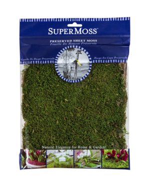 SuperMoss (21542) Mood Moss Preserved, Fresh Green, 4oz