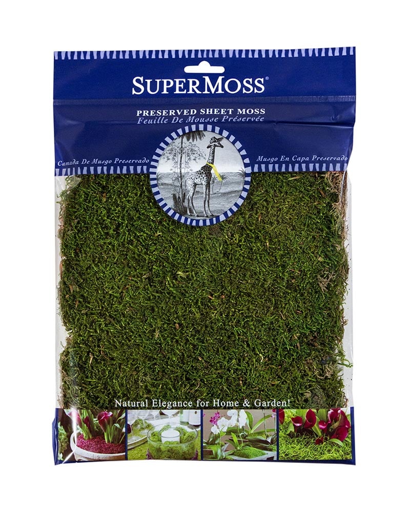 Dried Sheet Moss - Preserved Bulk Box - Case of 6lbs by Dried Decor