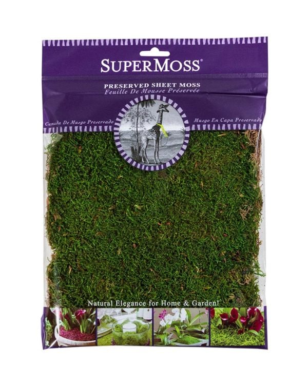 download free sheet moss