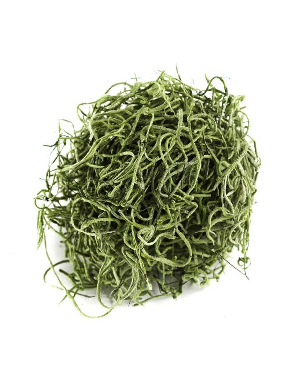 SuperMoss | Spanish Moss Preserved