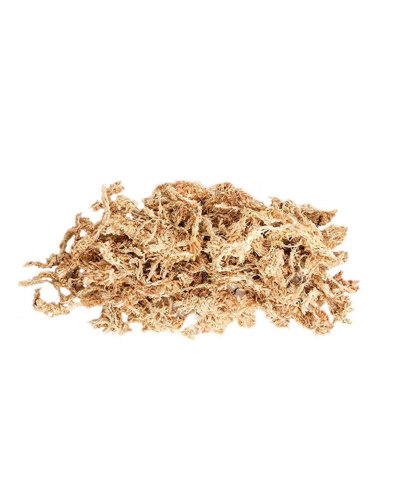 Purchase Wholesale sphagnum moss bulk. Free Returns & Net 60 Terms on