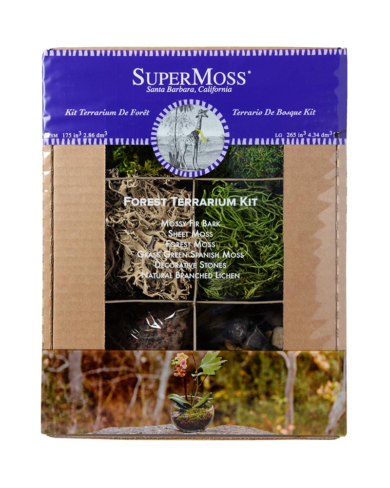 SuperMoss - Forest Terrarium Kit