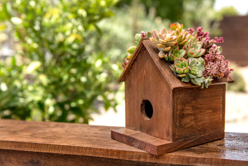 Jade Plantable Birdhouse #1