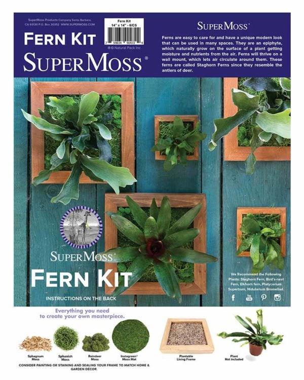 SuperMoss - Fairy Garden Basket Kit, Fresh Green, 15in