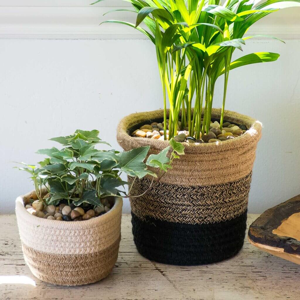 Decorative Gravel #6