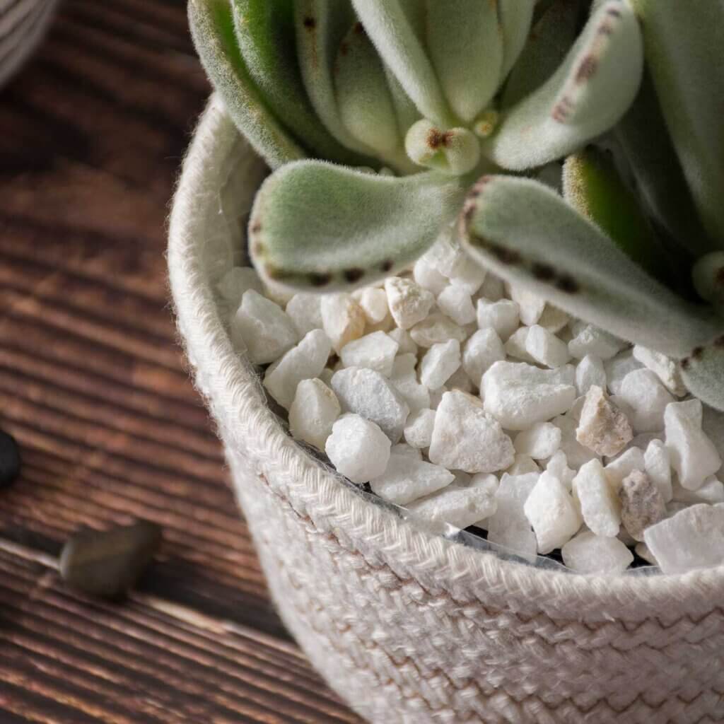 Decorative Gravel #7