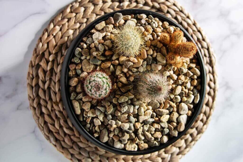 Decorative Gravel #1