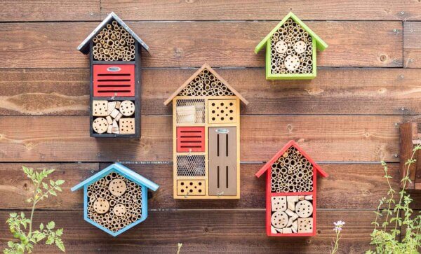 Hibiscus Beneficial Bug House